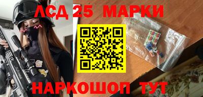 гашик Моздок