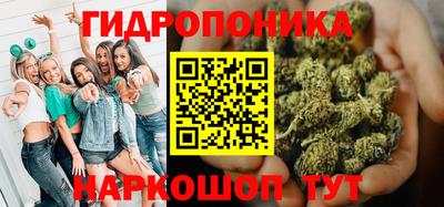эйфоретик Можга