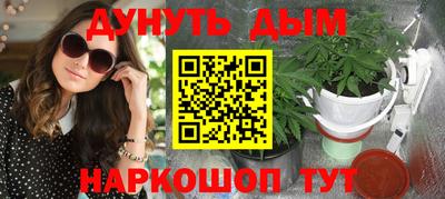 гашик Моздок