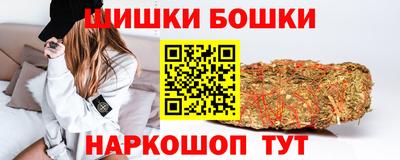 гашик Моздок