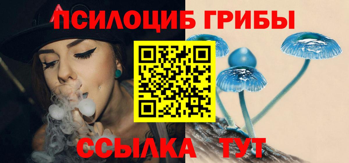 Псилоцибиновые грибы MAGIC MUSHROOMS Ачхой-Мартан